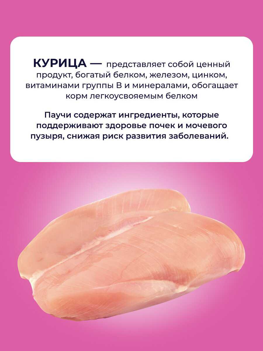 Preventive diet line Jarvi Urinary пауч для кошек (соус) фотография 3