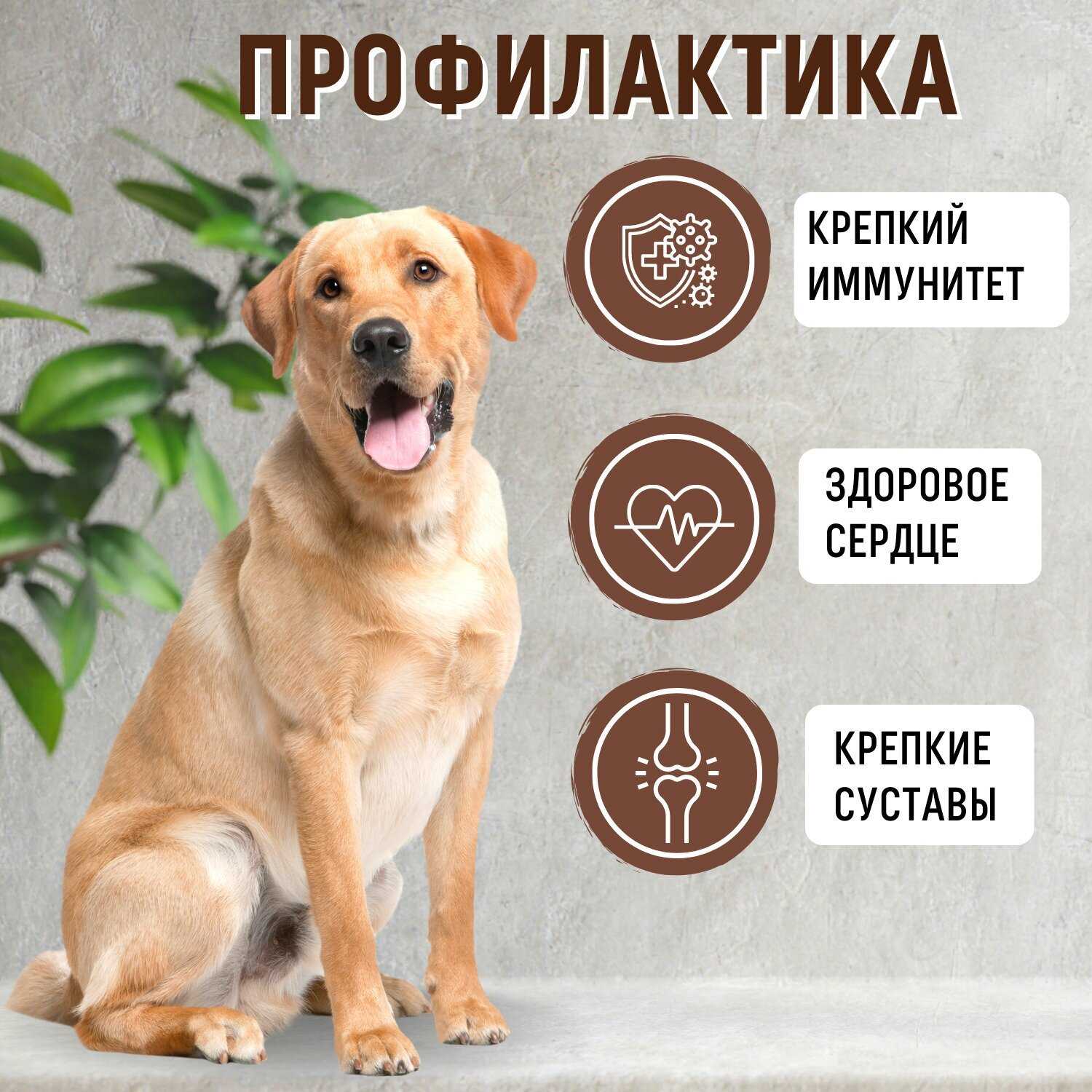 Корм для собак Grandorf беззерновой (утка с индейкой) фотография 18
