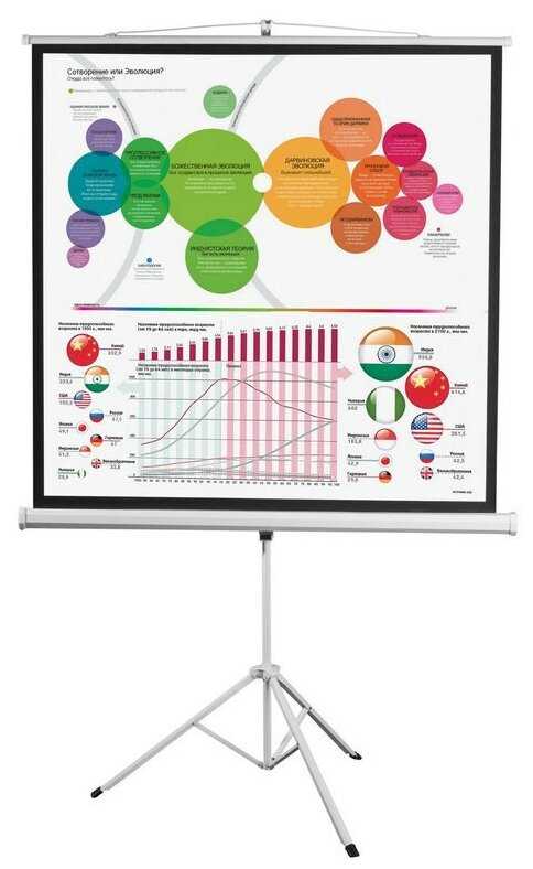 Рулонный Digis KONTUR-D (DSKD-1106) фотография 3