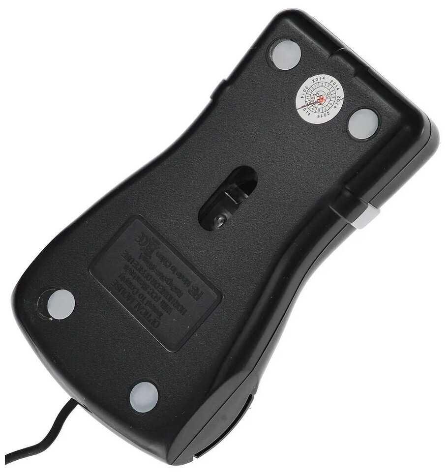 Мышь фотография 5