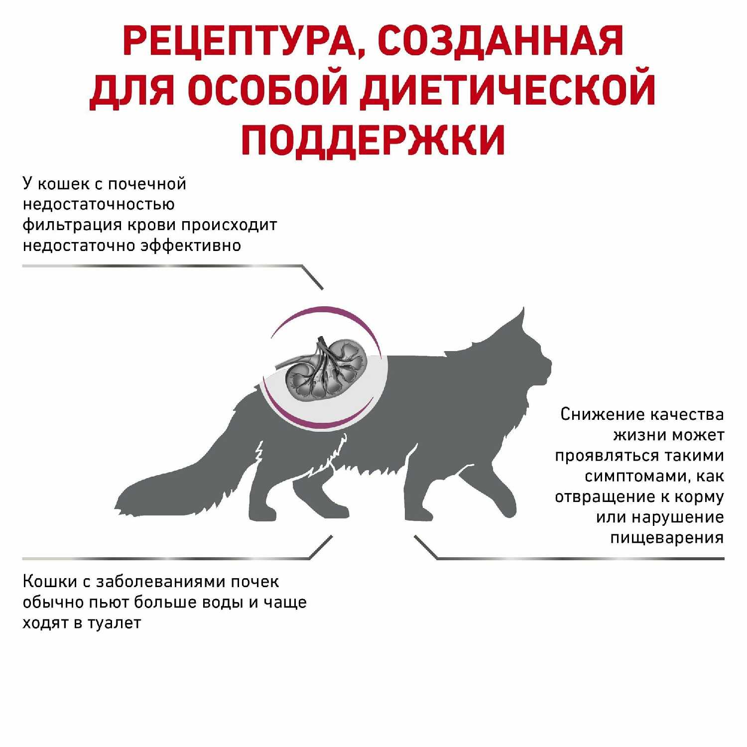 Сухой корм Royal Canin Renal Feline фотография 2