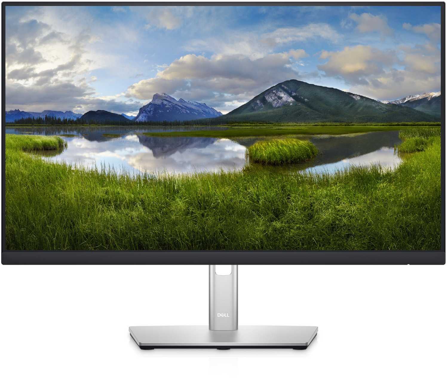Монитор DELL P2422HE (2422-5205)