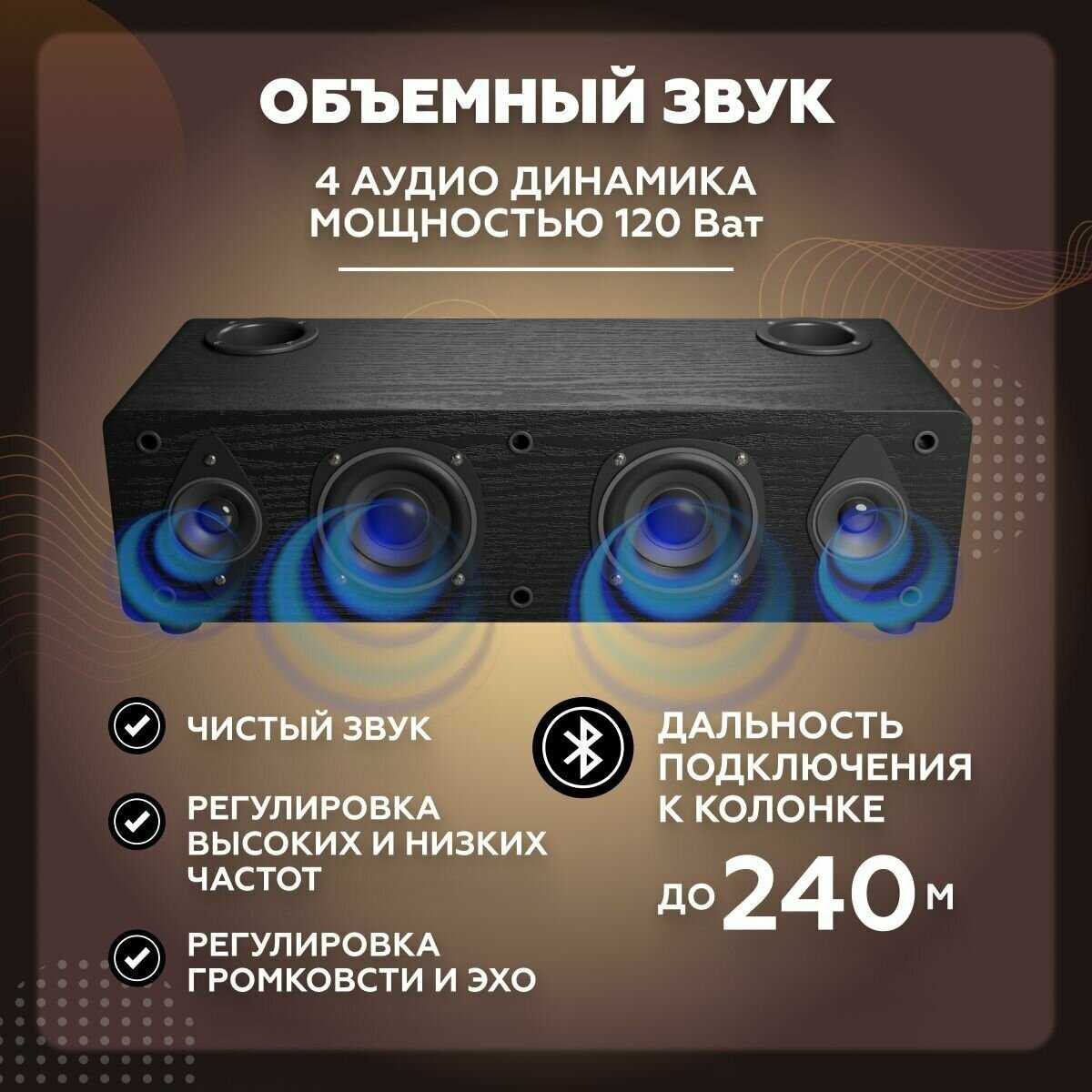 Караоке система для дома/телевизора с двумя беспроводными микрофонами, портативной блютуз колонкой фотография 9