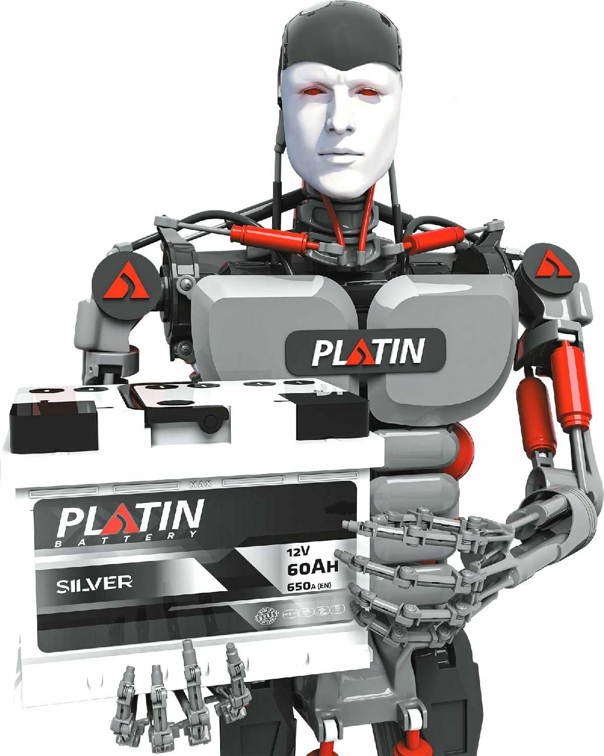 Аккумулятор автомобильный Platin Silver Asia (80B24L) фотография 2