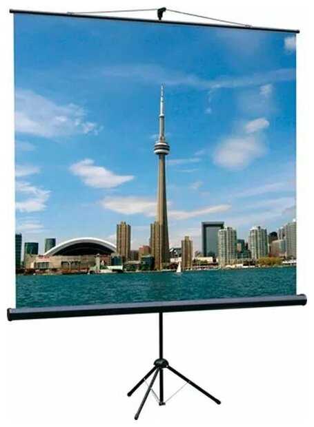 Экран для проектора Lumien Eco View (LEV-100107) фотография 4