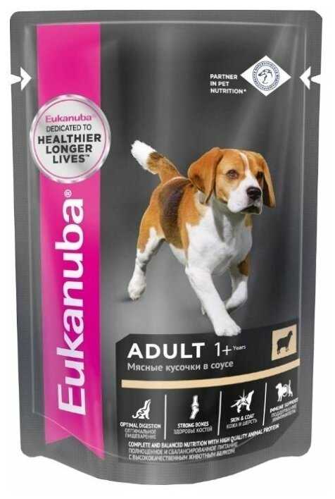 Корм для собак Eukanuba для здоровья кожи и шерсти фотография 8