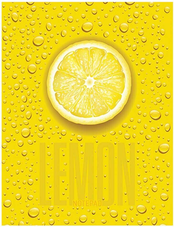 Рулонный BRAUBERG Wall (236725) фотография 11