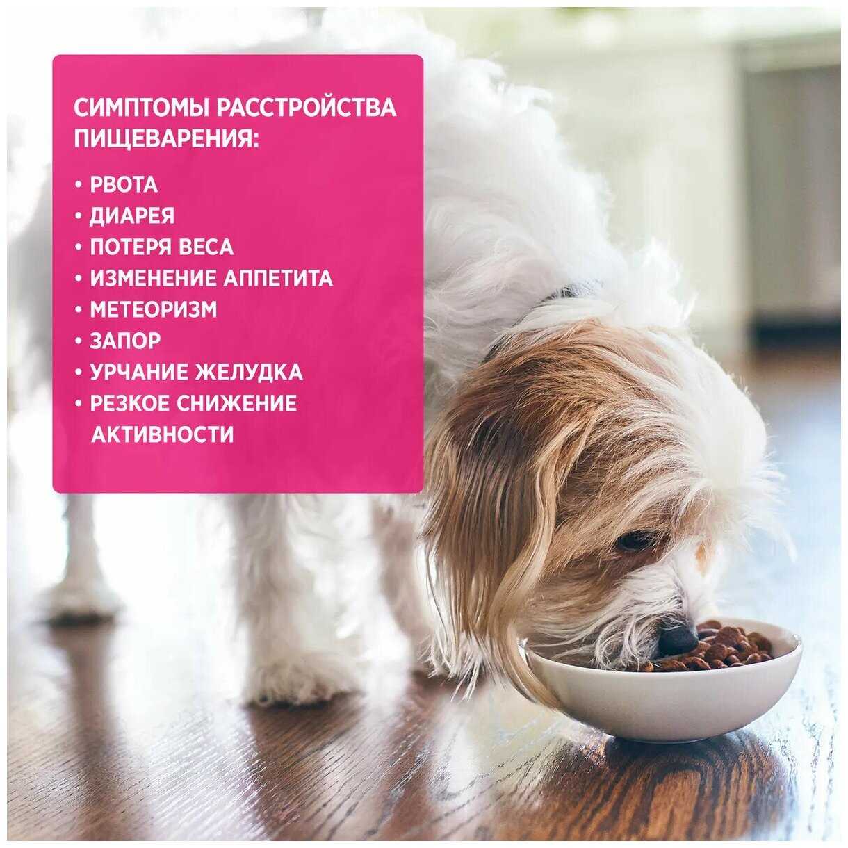 Корм для собак Hill's Prescription Diet Gastrointestinal Biome Digestive/Fiber Care фотография 18