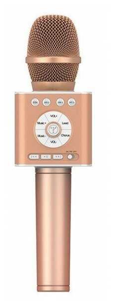 Q12 фотография 1