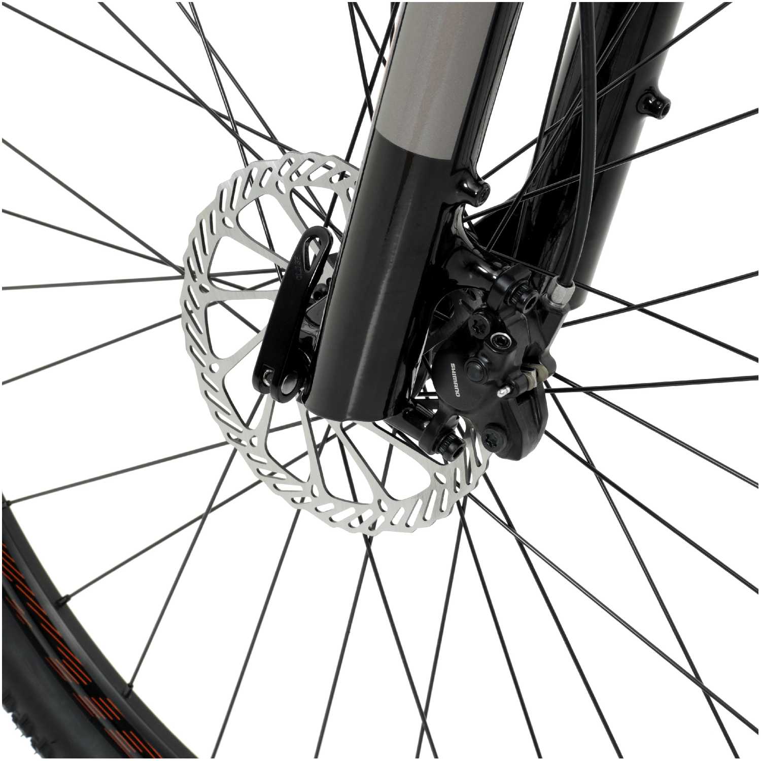 Горный (MTB) велосипед Welt Raven 2.0 HD 29 фотография 14