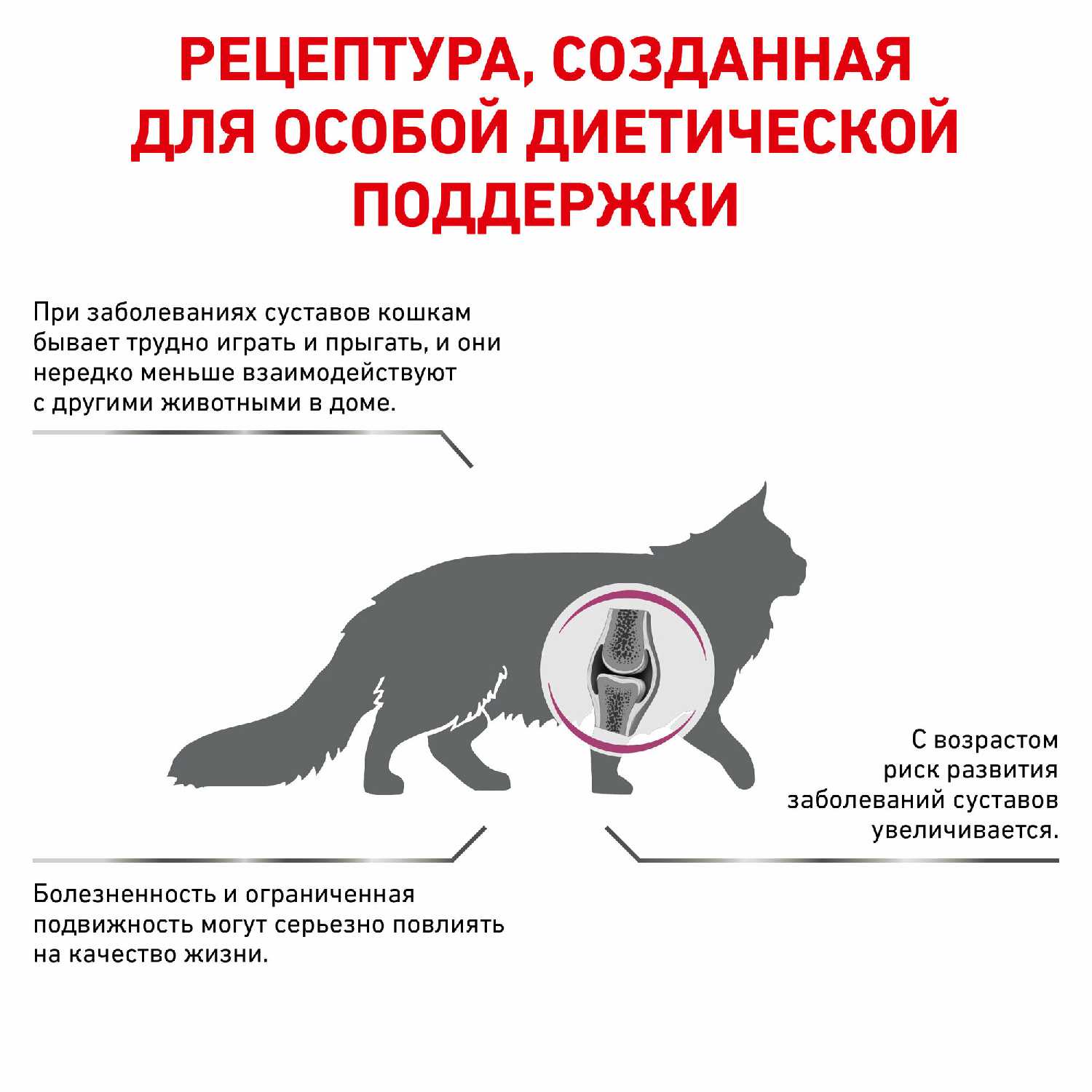 Корм для кошек Royal Canin Mobility MC28 фотография 14
