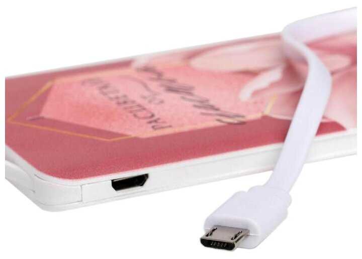 Портативный аккумулятор Like Me PB-03 «Расцветай от счастья» 2500mAh фотография 4