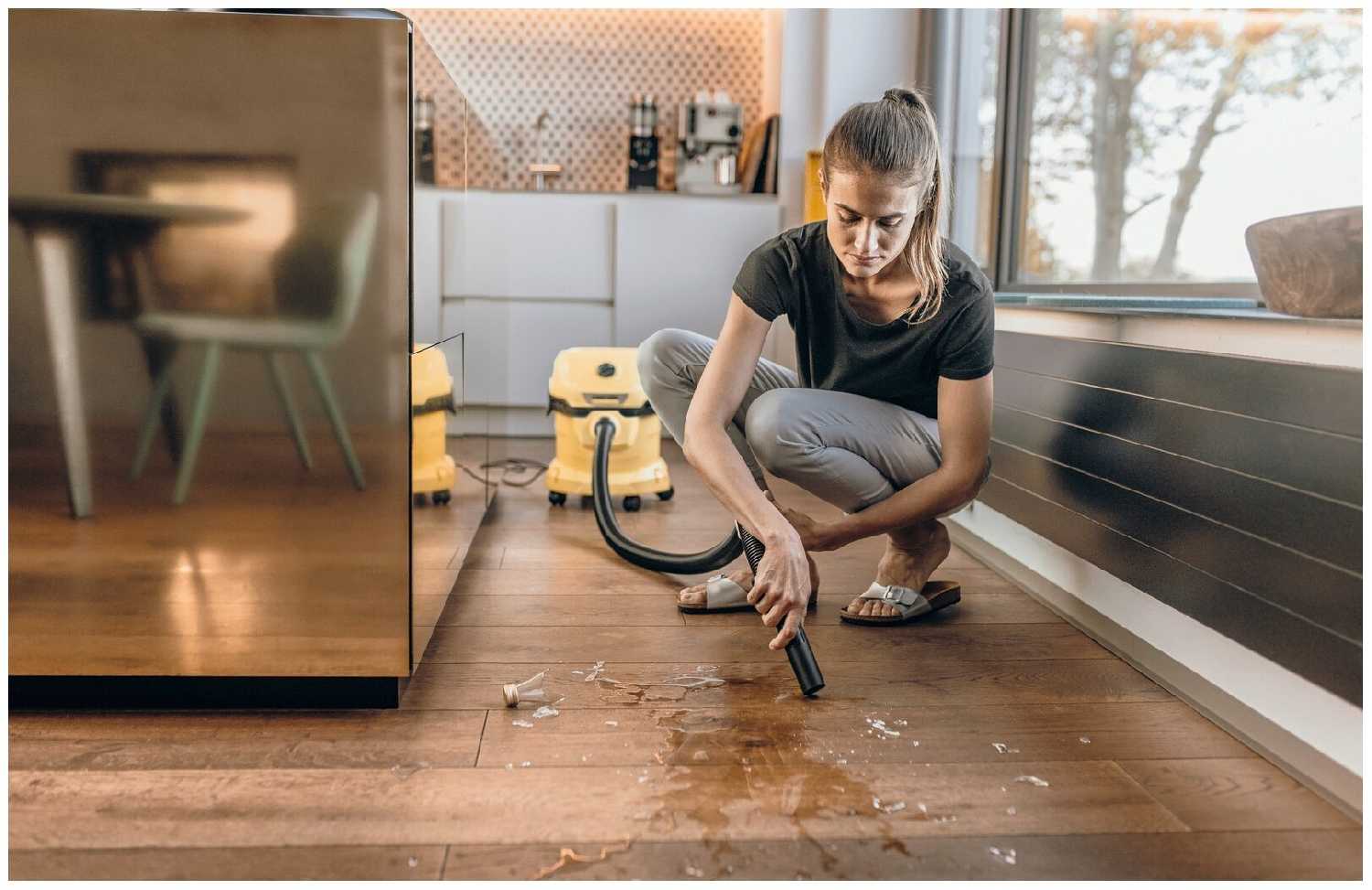 Профессиональный пылесос KARCHER WD 2 Plus V-12/4/18, 1000 Вт фотография 5