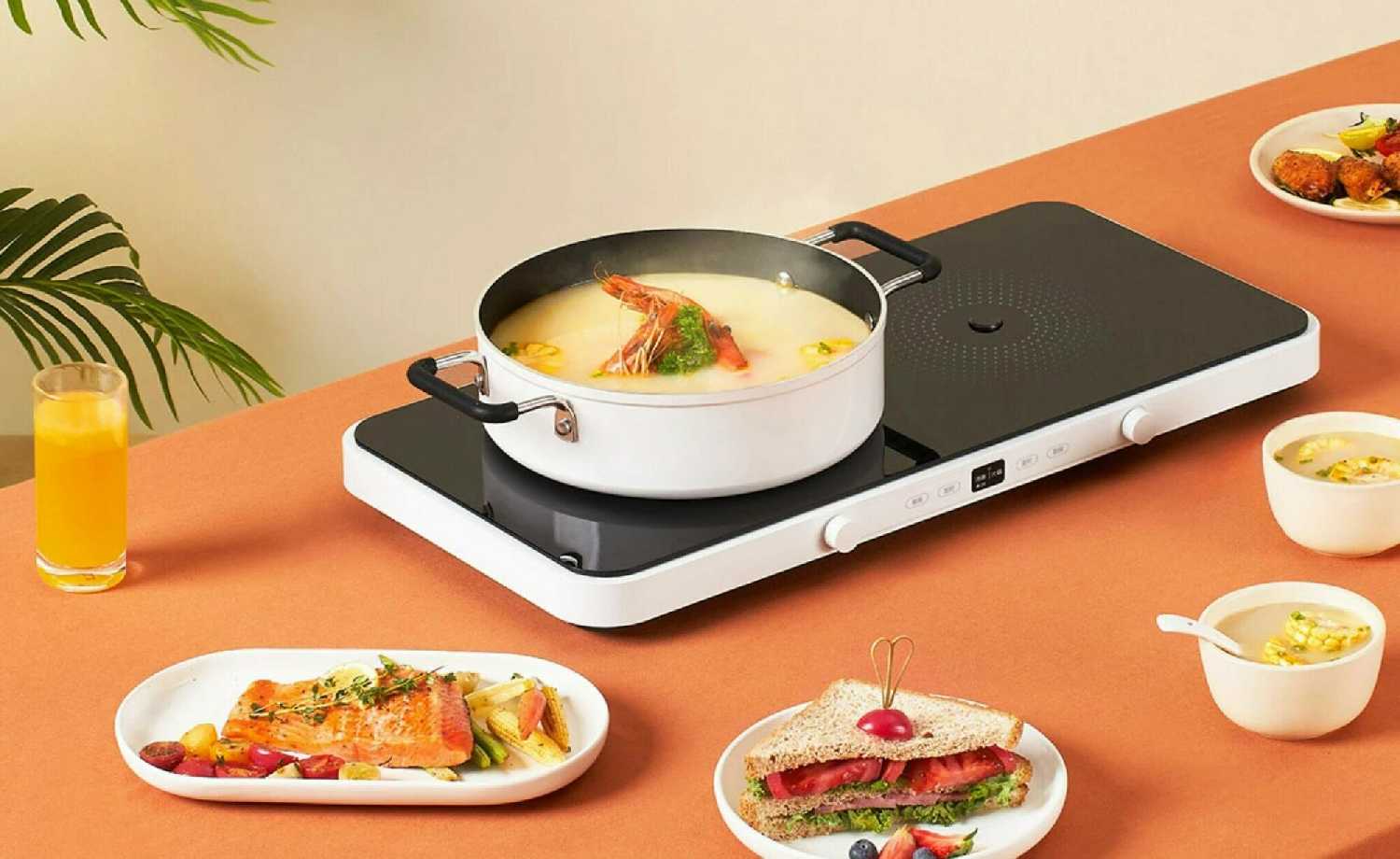 Умная индукционная плита Xiaomi Mijia Double-Port Cooker (MDCLD01ACM) фотография 5
