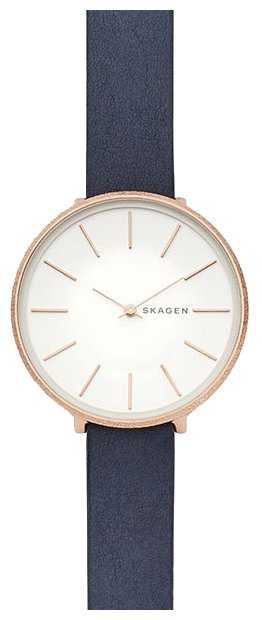 Наручные часы SKAGEN SKW2723