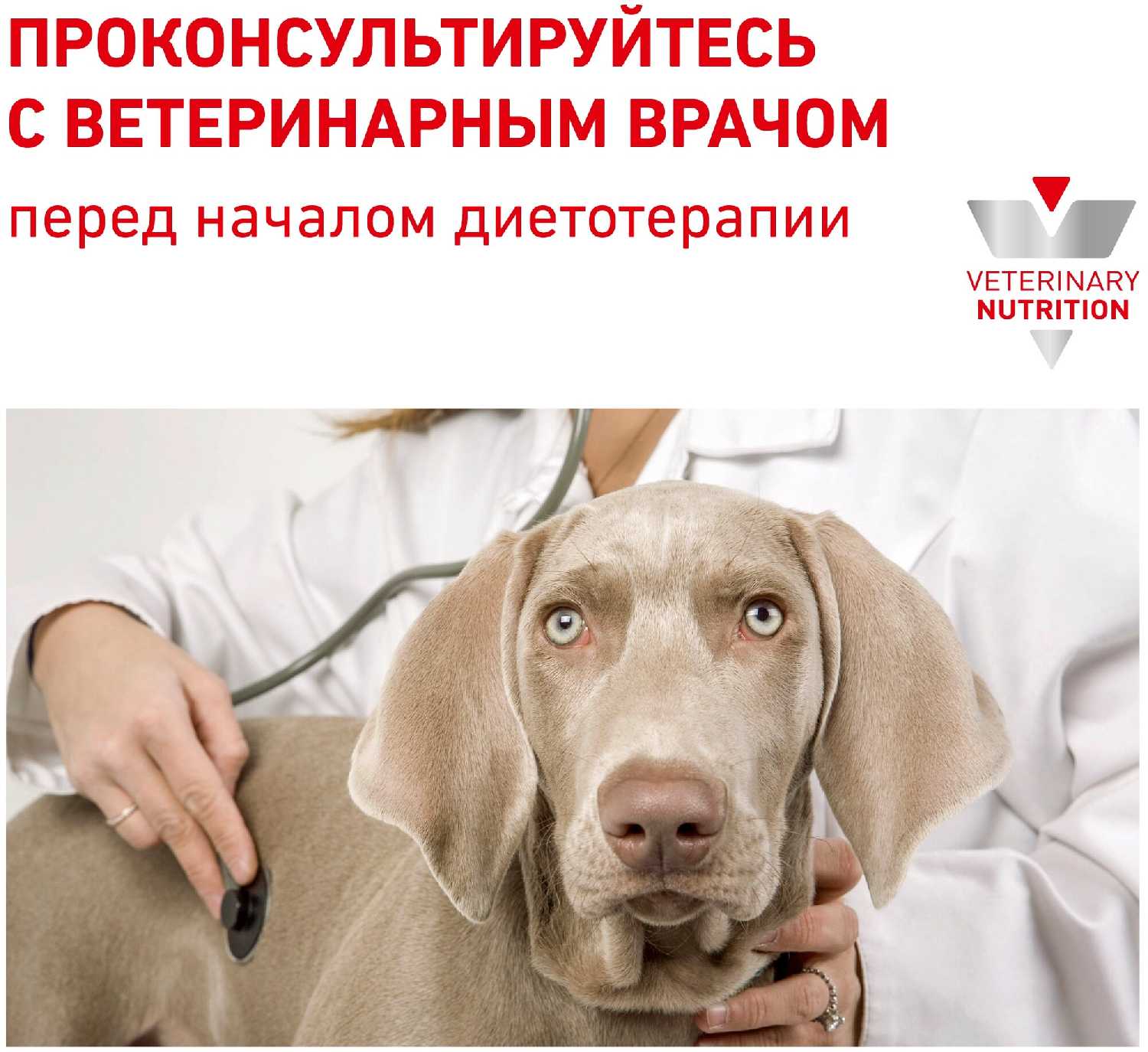 Корм для собак Royal Canin Renal Early фотография 12