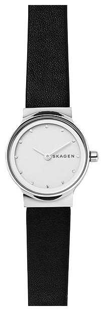 Наручные часы SKAGEN SKW2668