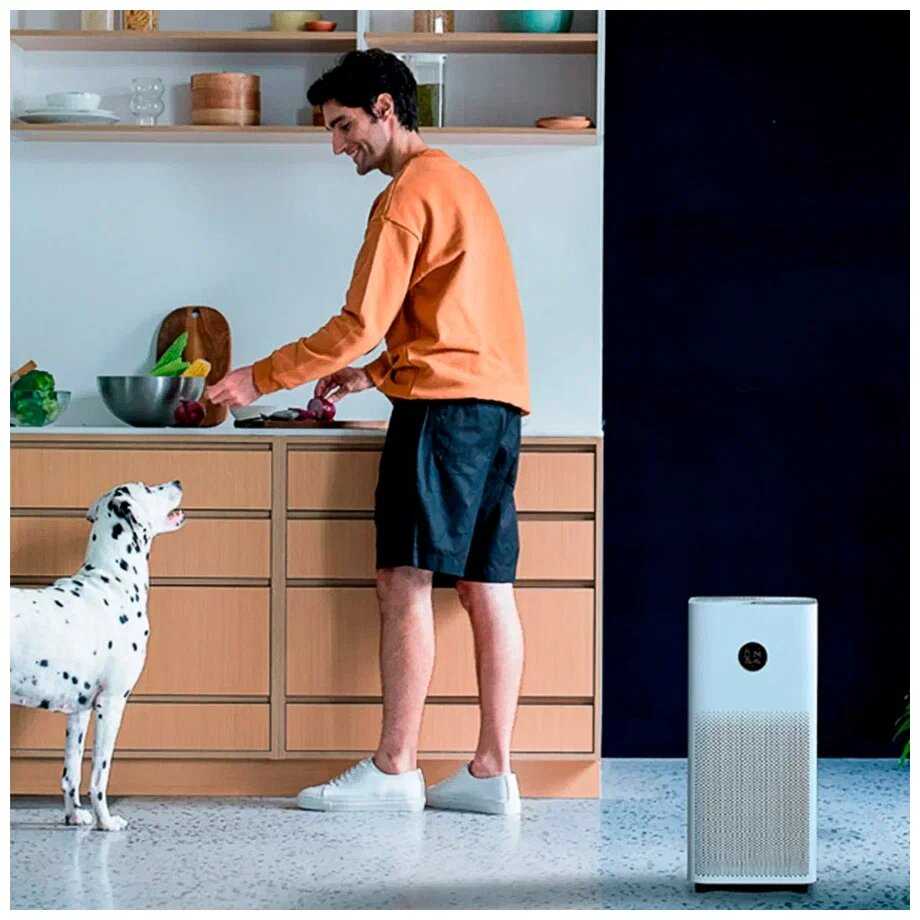 Умный очиститель воздуха Xiaomi Mijia Air Purifier 4 (AC-M16-SC) фотография 16