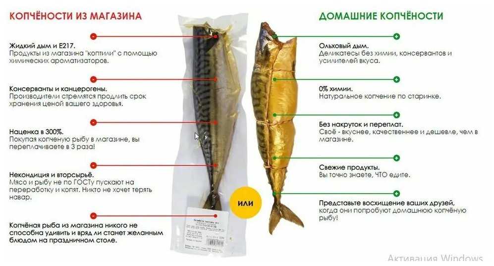 Коптильня электрическая Дым Дымыч 02М фотография 19