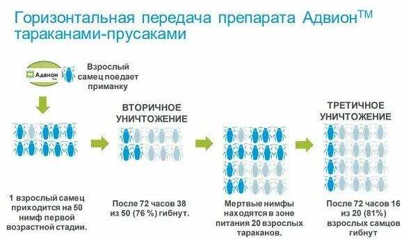 Гель Advion Гель от тараканов и муравьев (Адвион) фотография 21