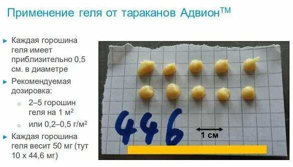 Гель Advion Гель от тараканов и муравьев (Адвион) фотография 22