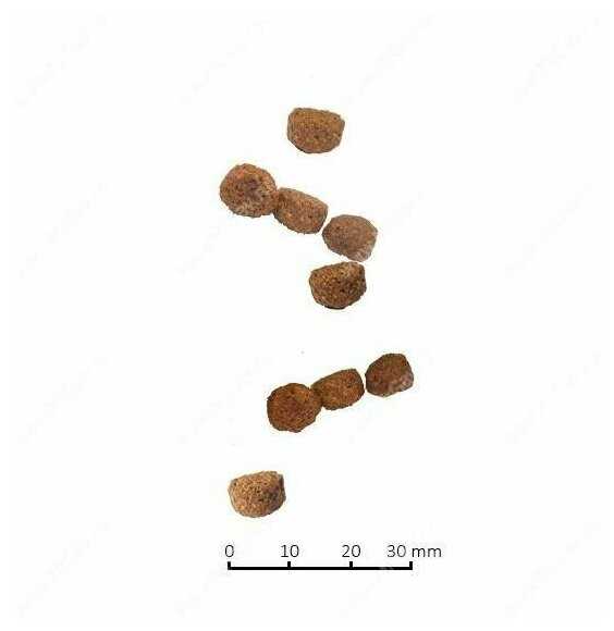 Корм Farmina N&D Prime (беззерновой, с курицей, с гранатом) фотография 15