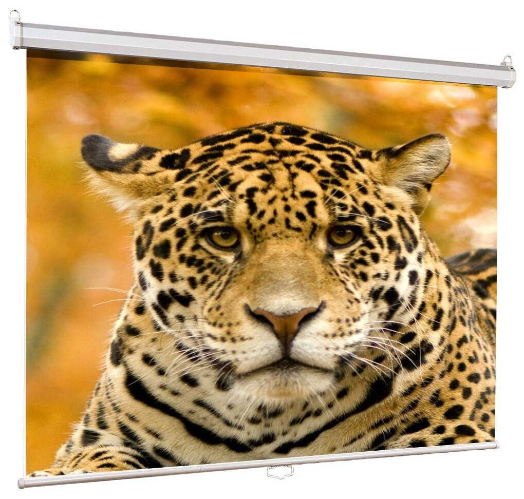 Рулонный Lumien Eco Picture (LEP-100105) фотография 2