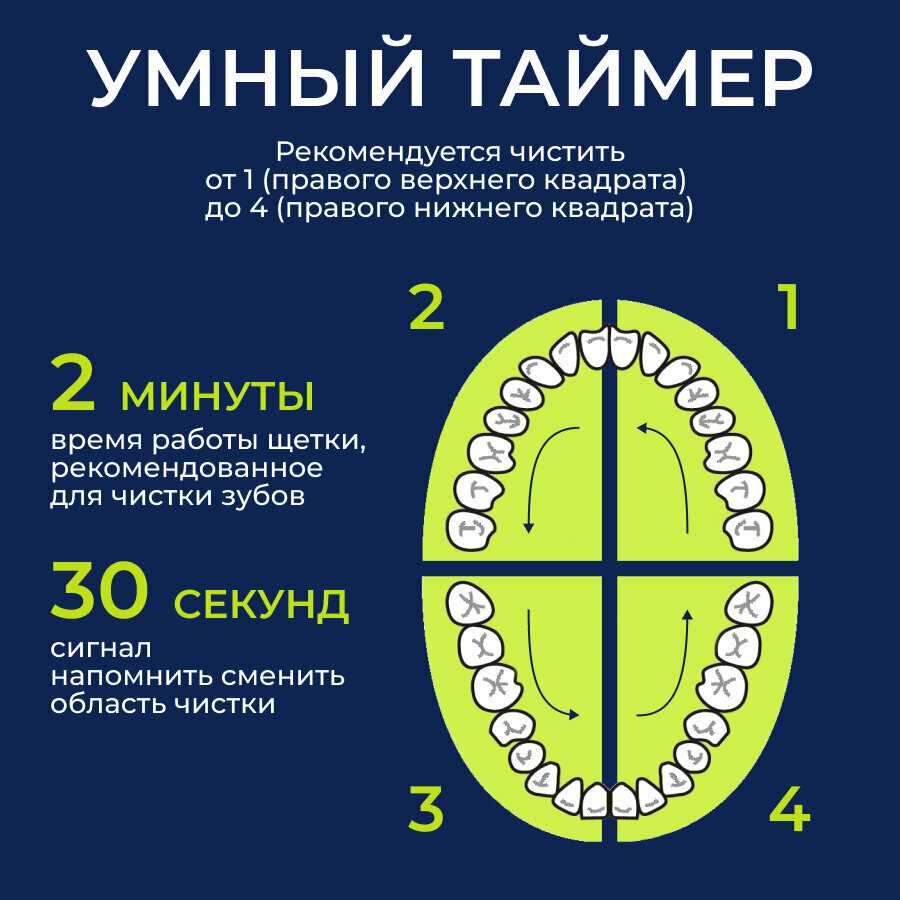 Электрическая зубная щетка взрослая комплект: футляр для щетки, сменные насадки, подставка, зарядная станция фотография 3