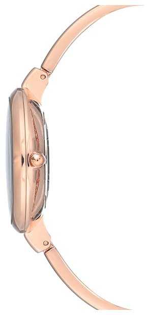Наручные часы ANNE KLEIN 3080RGST фотография 1