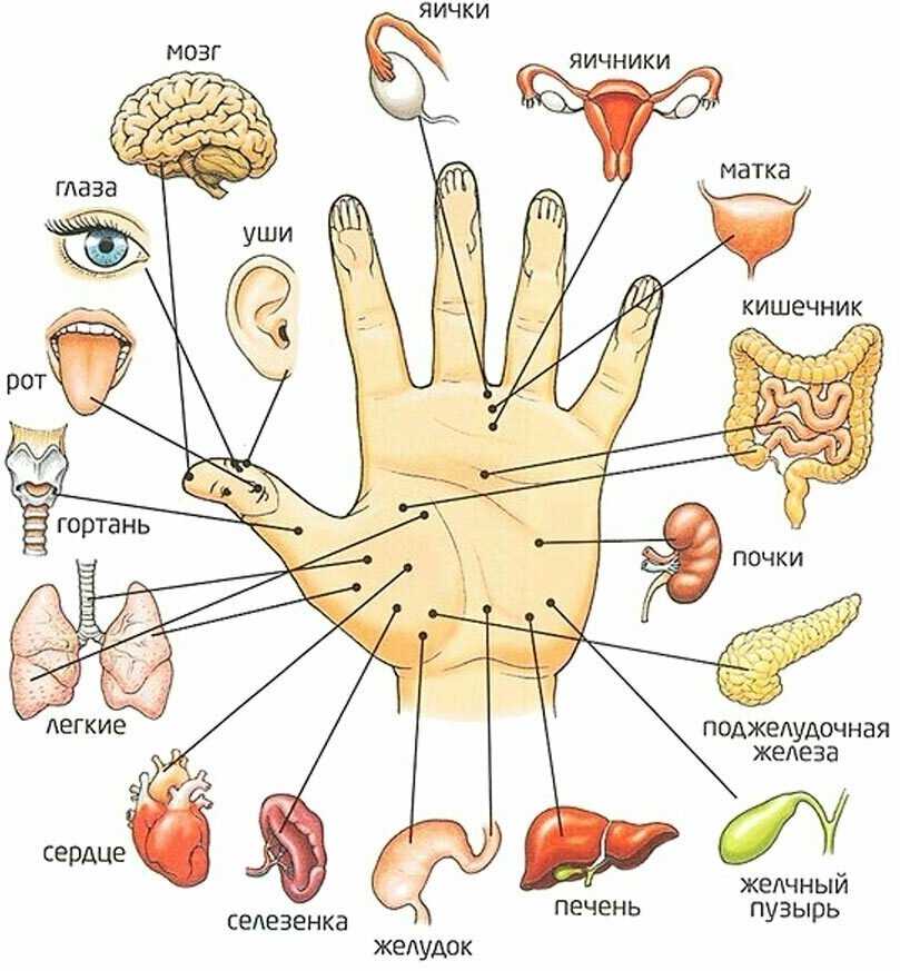 Массажёр Trives Су-джок (M-713) фотография 5