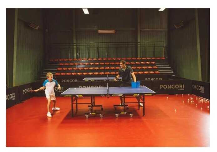 Ракетки для настольного тенниса Decathlon TTR 100 (PONGORI) фотография 9