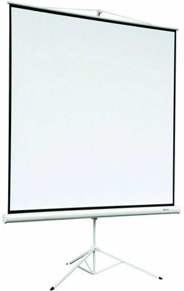 Рулонный cactus Motoscreen (CS-PSM-152x203) фотография 4