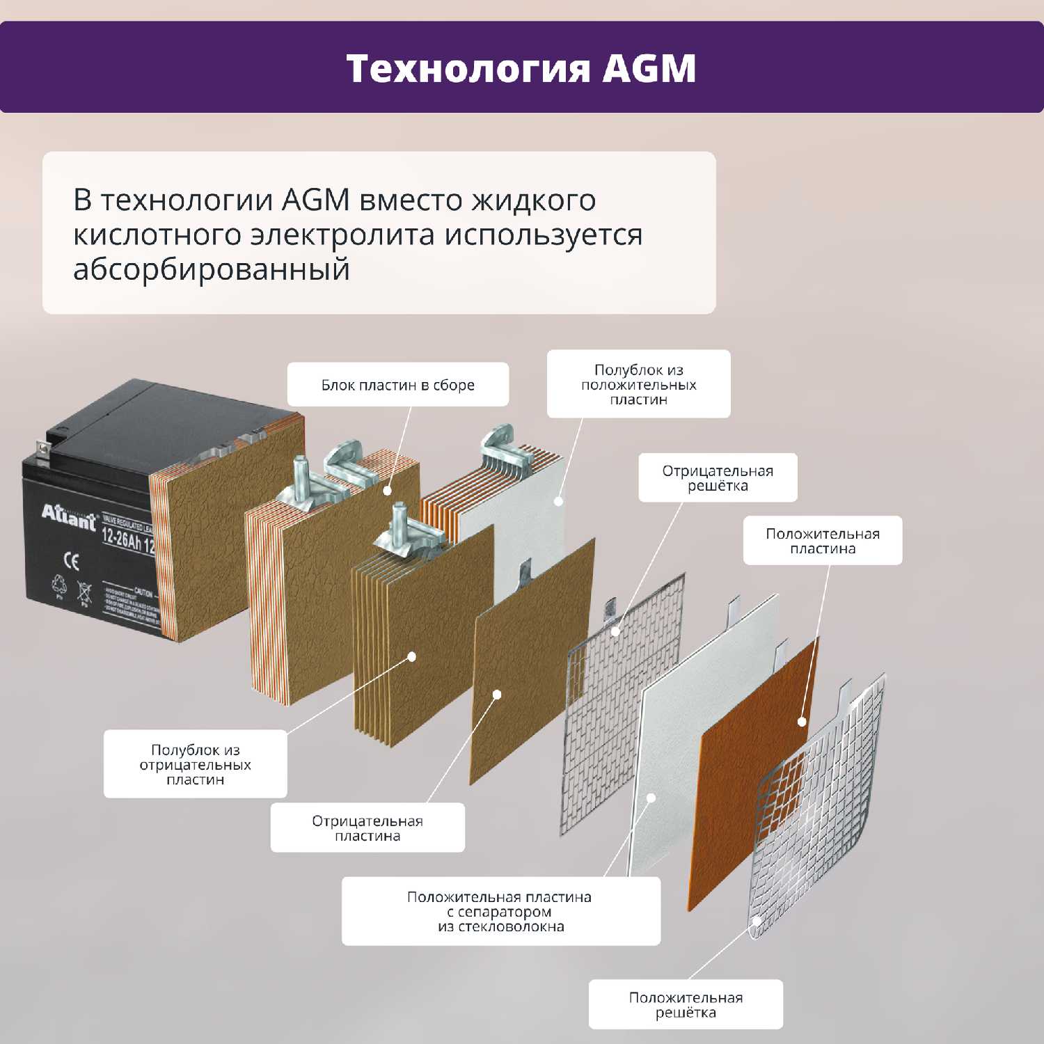 Аккумулятор THOMAS AGM F1/T1 (12V 7Ah) фотография 6