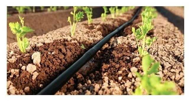 Felicia набор капельного полива 100, длина шланга: 100 м, кол-во растений: 300 шт. фотография 2