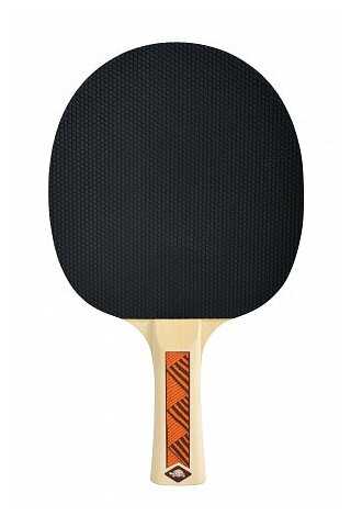 Ракетка для настольного тенниса Donic Schildkrot Champs Line 200 фотография 2