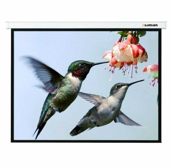 Рулонный Lumien LMP-100117 фотография 3