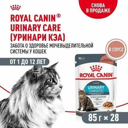 Влажный корм Royal Canin Urinary Care [для взрослых кошек при мочекаменной болезни]