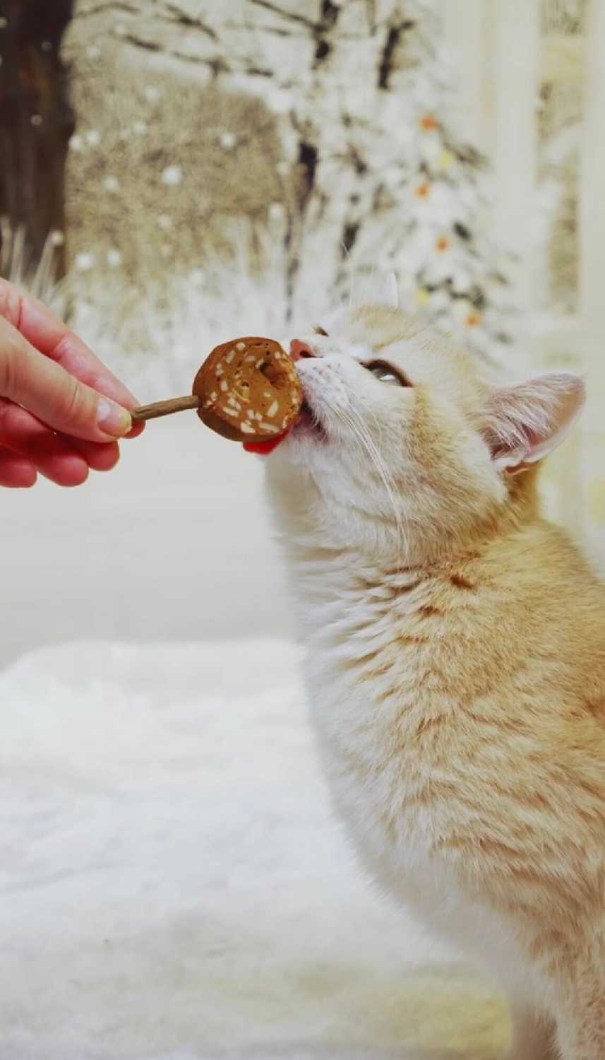 Лакомство для кошек Japan Premium Pet Тунцовая карамелька на палочке с крабом фотография 9