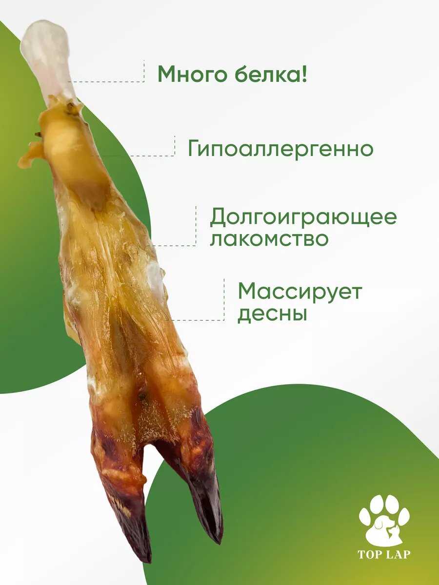 Кости для собак Баранья ножка фотография 13