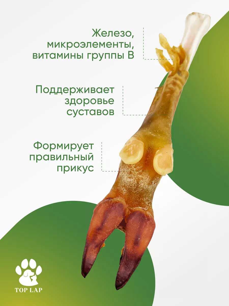Кости для собак Баранья ножка фотография 14