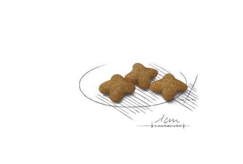 Корм для собак Royal Canin X-Small Sterilised фотография 5