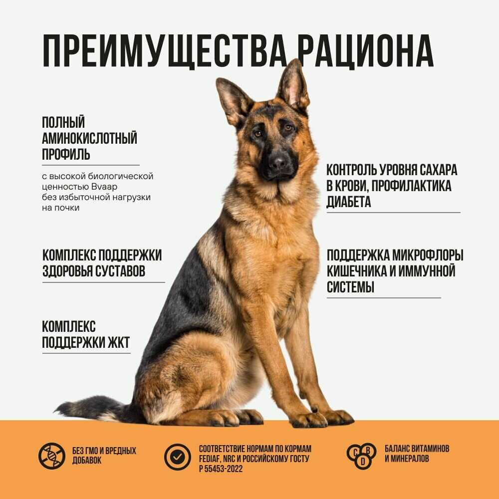 Корм для щенков средних пород собак с индейкой, рисом и клюквой 2 кг. фотография 6