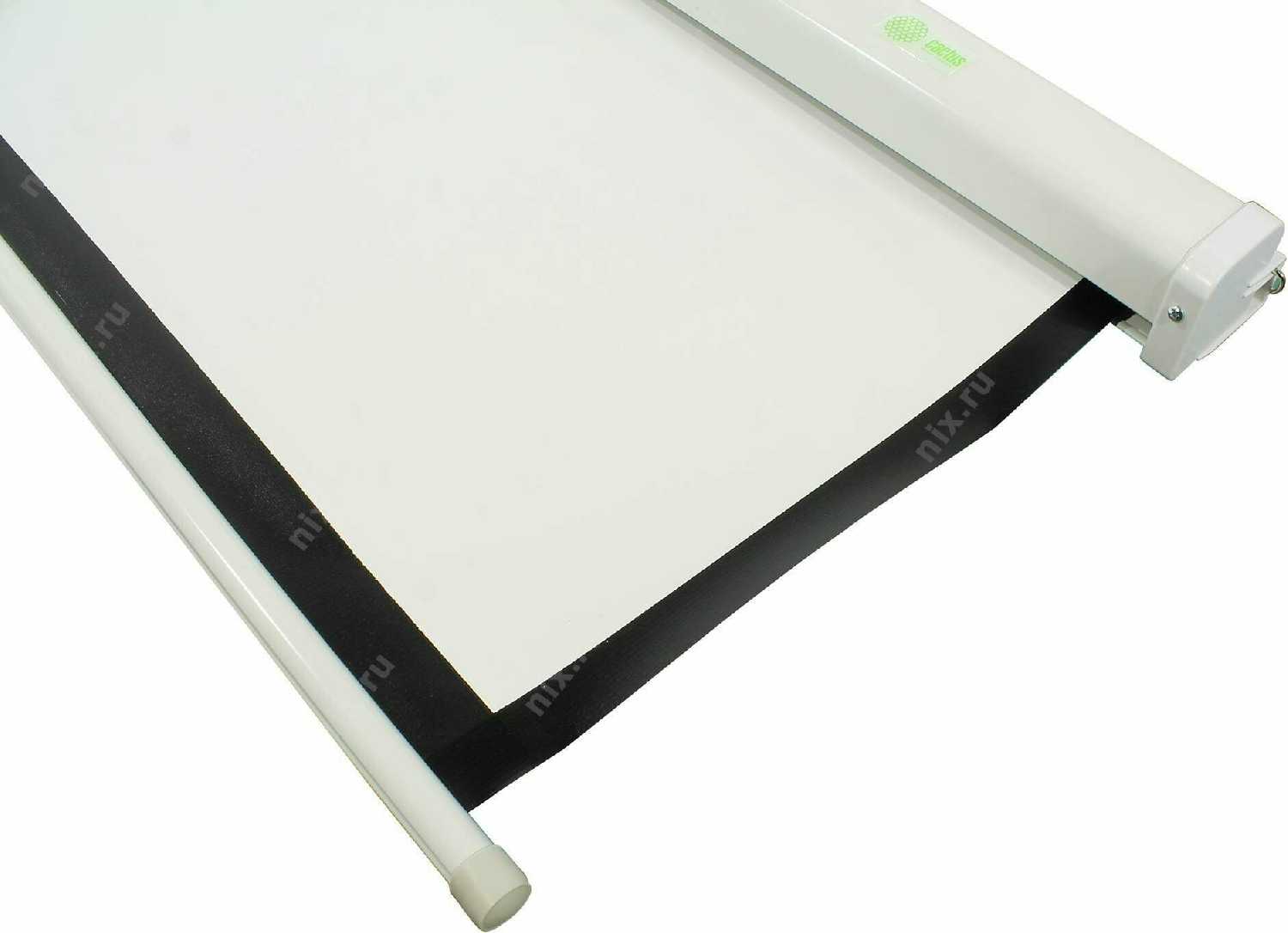 Рулонный cactus Wallscreen (CS-PSW-127x127) фотография 10