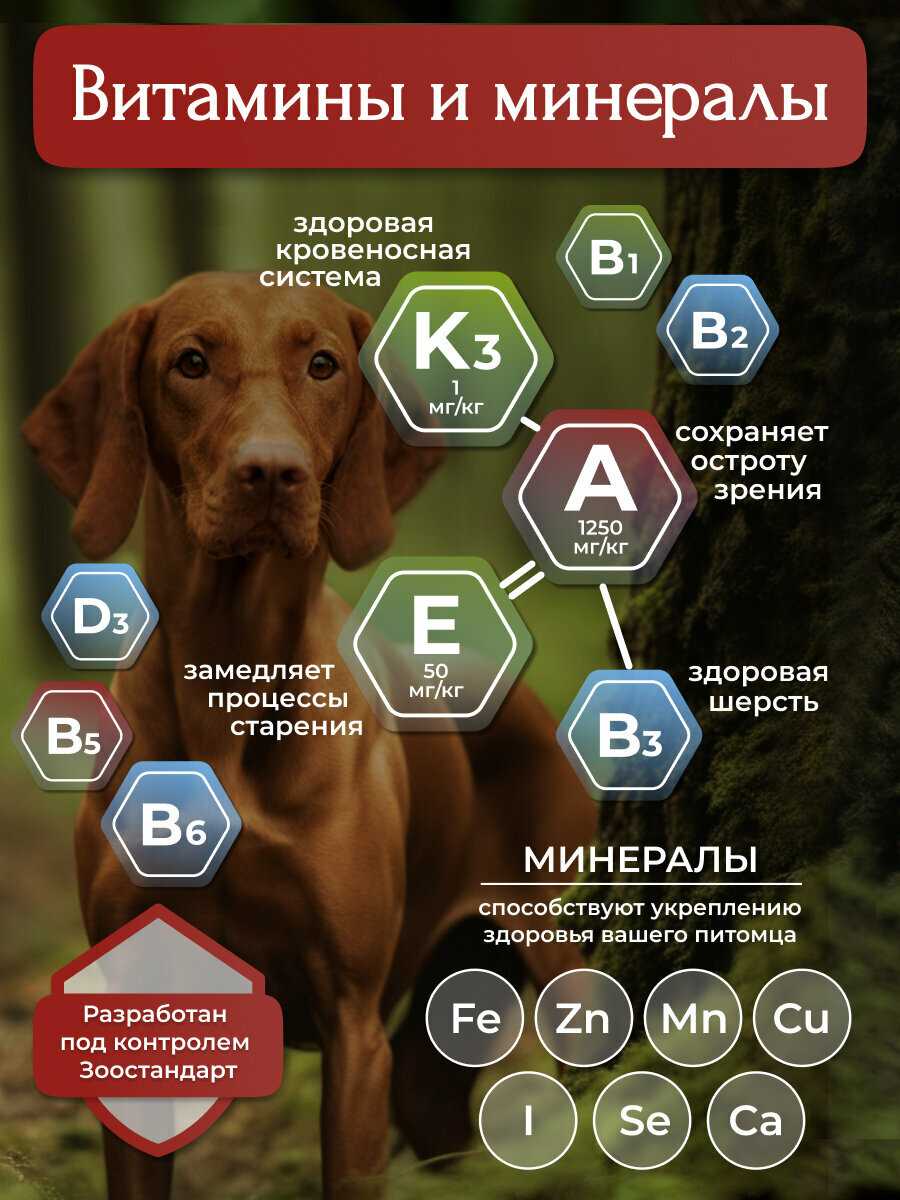 Корм для собак BioMenu Adult с говядиной фотография 9
