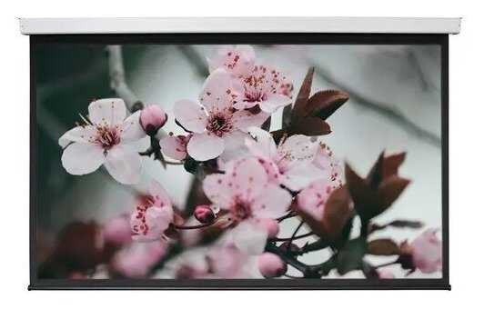 Рулонный Digis ELECTRA-F (DSEF-1107) фотография 1