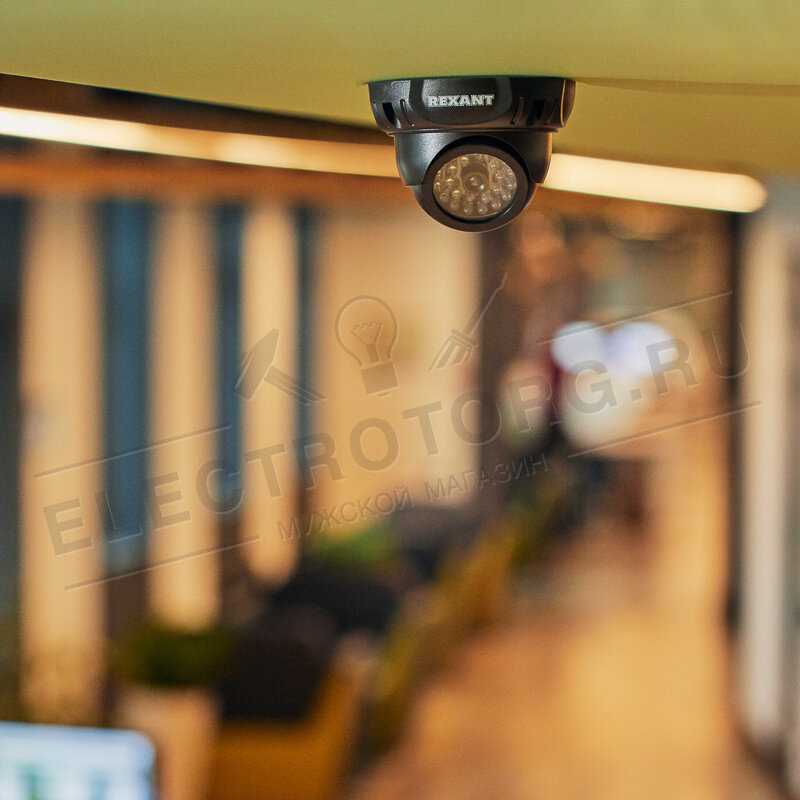 Муляж видеокамеры REXANT Муляж видеокамеры RX-303 фотография 19