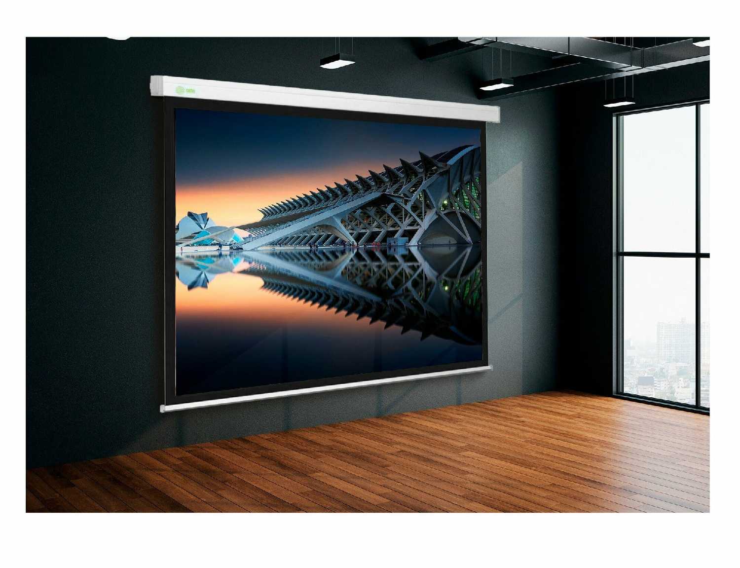 Рулонный cactus Wallscreen (CS-PSW-149x265) фотография 5