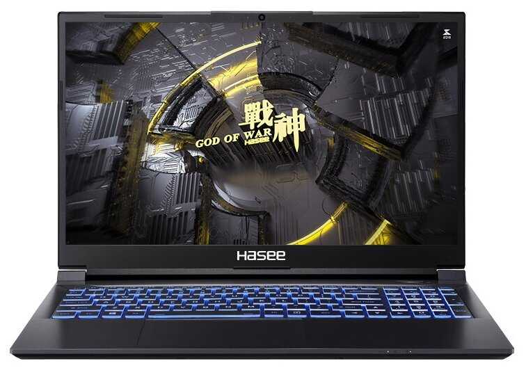 Ноутбук Hasee Z8 (B63614FH)