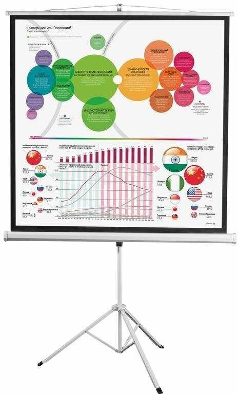 Рулонный Digis KONTUR-D (DSKD-1105) фотография 10