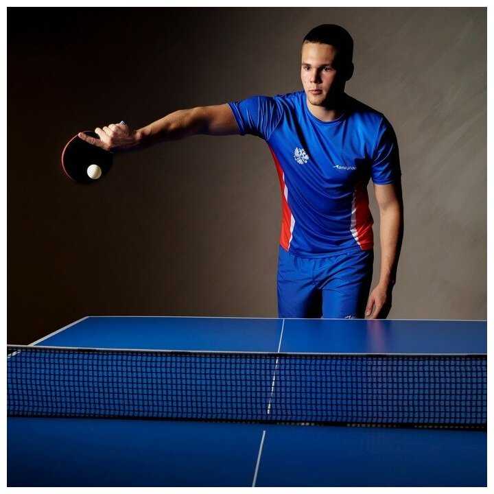 Ракетки для настольного тенниса BOSHIKA Control 9 (7343336) фотография 6